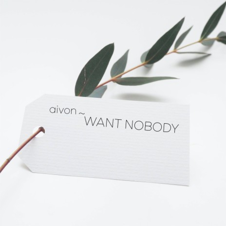 aivon - Want Nobody
