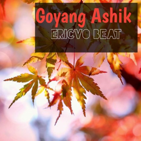 Goyang Ashik (Goyang Ashik) | Boomplay Music