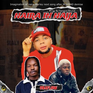 Naira In Naija (Cruise) lyrics | Boomplay Music
