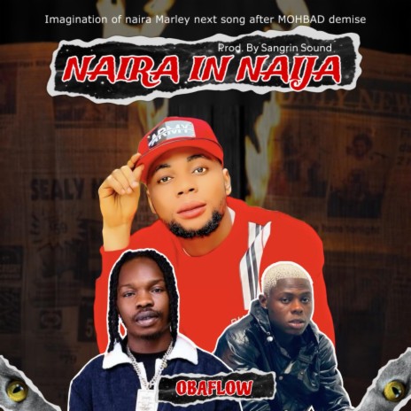 Naira In Naija (Cruise) | Boomplay Music