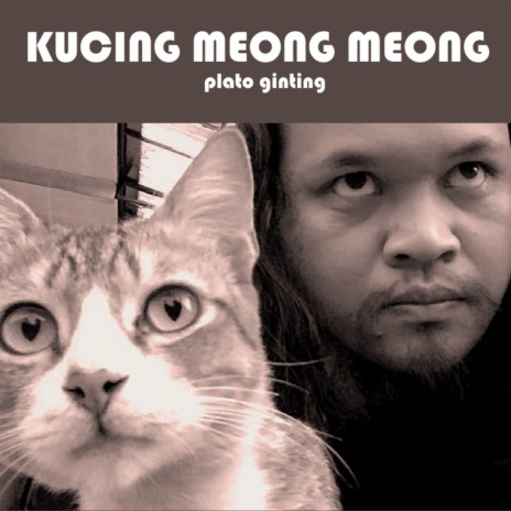 Kucing Meong Meong | Boomplay Music