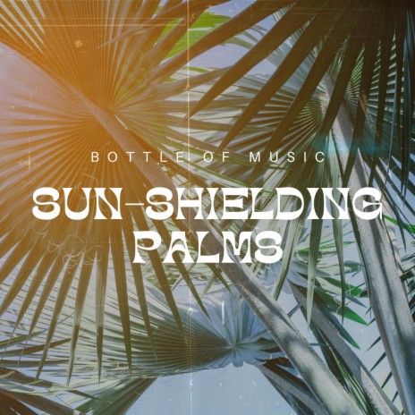 Sundown Palm Silhouettes