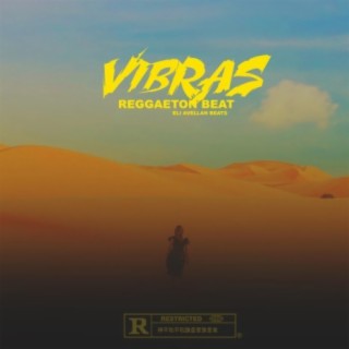 Vibras Reggaeton Beats