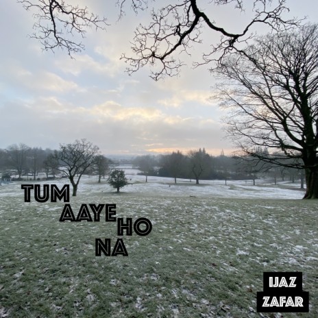 Tum Aaye Ho Na | Boomplay Music