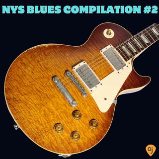 Shred The Blues (Now YOU Shred Blues Compilation vol. 2)