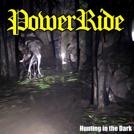 Hunting in the Dark | Boomplay Music