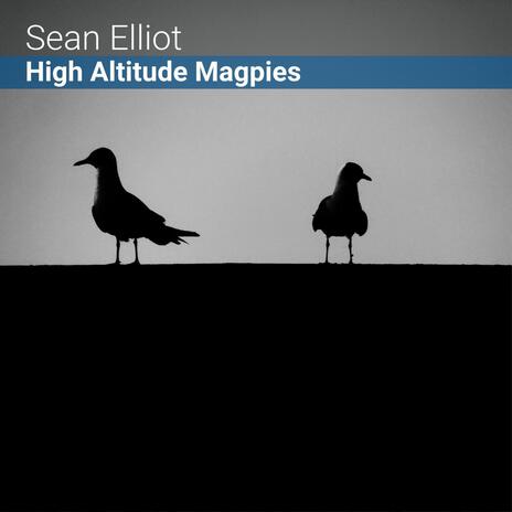 High Altitude Magpies | Boomplay Music