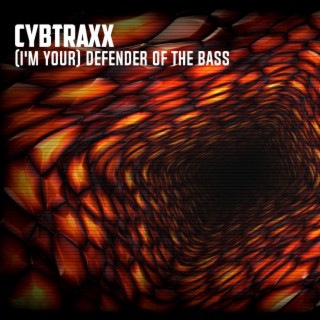 (I'm Your) Defender Of The Bass