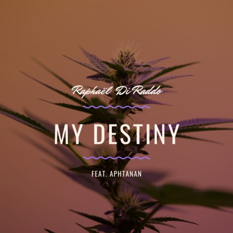 My Destiny ft. Aphtanan | Boomplay Music