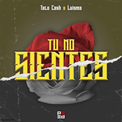 Tu no sientes ft. tatocash & luisma bb | Boomplay Music