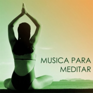 Música para Meditar y Relajarse