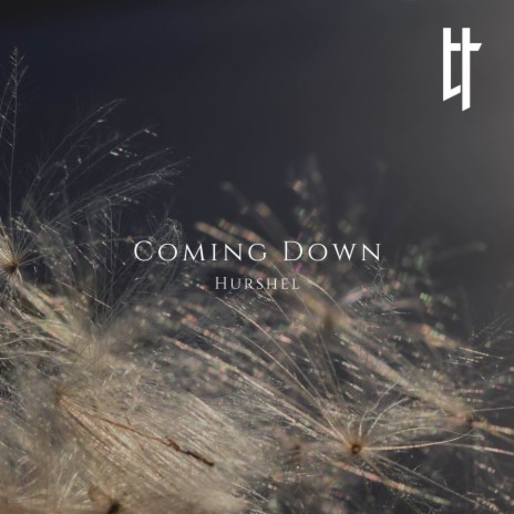 Coming Down | Boomplay Music