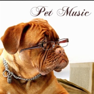 Pet Music: Songs for Dogs and Cats, Pet Therapy Relaxation