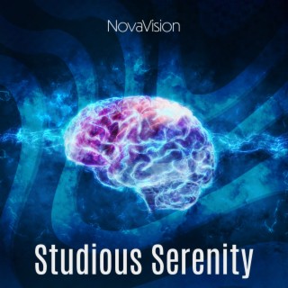 Studious Serenity: Relaxing Tunes for Focus and Calm