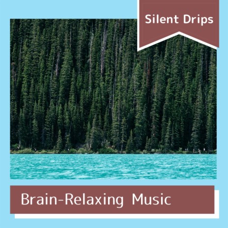 Calming Meditations | Boomplay Music