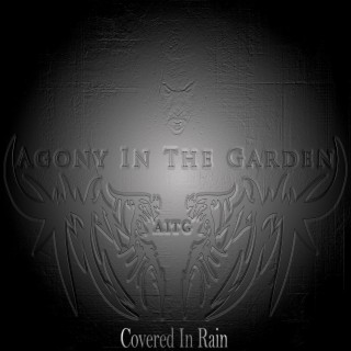 Covered In Rain lyrics | Boomplay Music