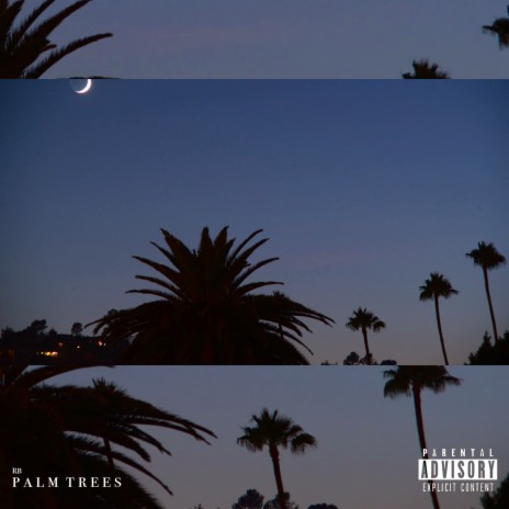 Palm Trees | Boomplay Music