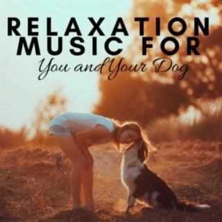 Music for Pets Specialists