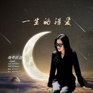 一生的错爱 ft. 黄龙国 lyrics | Boomplay Music