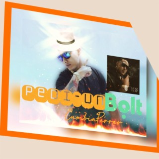 Pedi Un Bolt lyrics | Boomplay Music