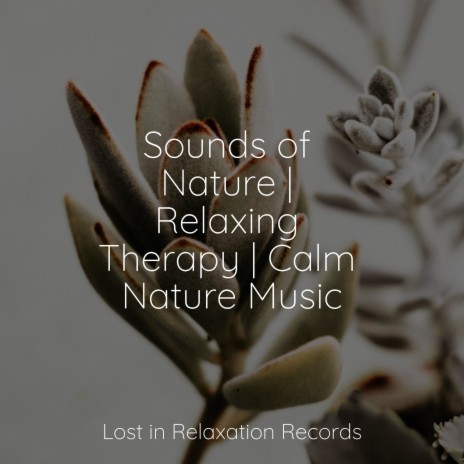 Celestial Melody ft. Soothing Sounds & New Age | Boomplay Music