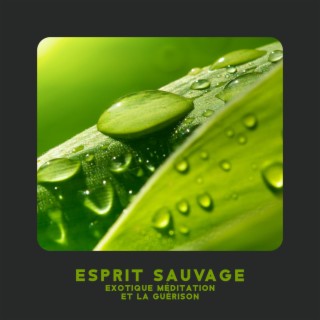 Esprit sauvage: Musique douce et relaxante avec un fond exotique pour un repos profond, la méditation et la guérison