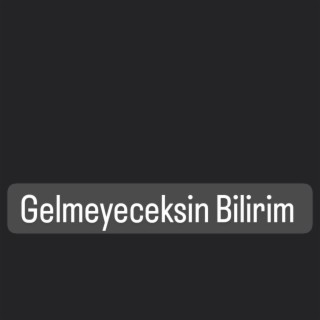 Azizcan Gelmeyeceksin Bilirim