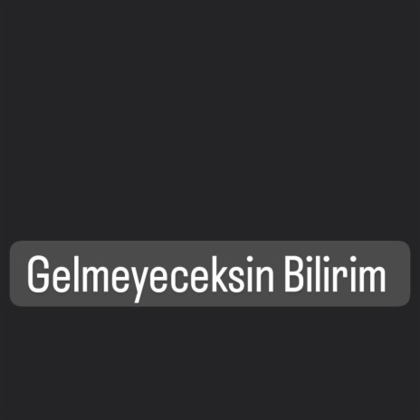 Azizcan Gelmeyeceksin Bilirim | Boomplay Music