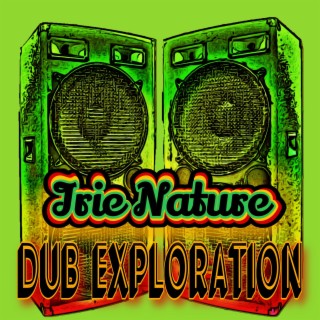 Dub Exploration