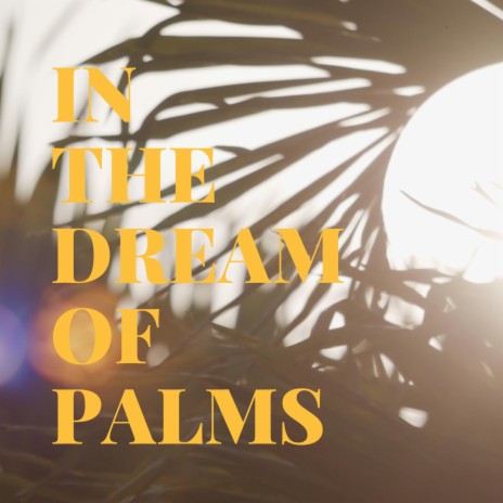 Evening Dream Walks Among Palms