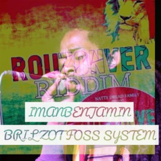 Bril Zot Foss System