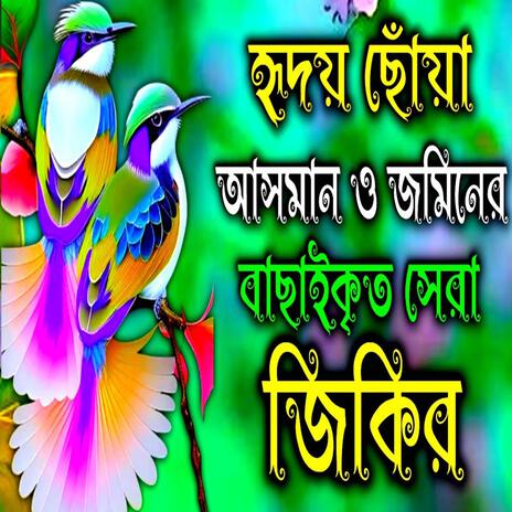 হৃদয় ছোঁয়া আসমান ও জমিনের যুদ্ধের জিকির __ খুবই দুঃখের সেরা জিকির __ MuslimTv _ jikir, Zikir | Boomplay Music