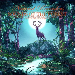 Sounds of the Forest