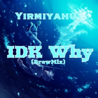 IDK Why (BrewMix)