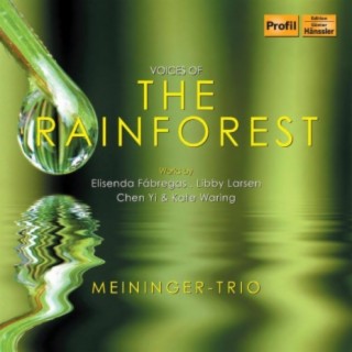 Meininger Trio