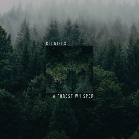 A Forest Whisper | Boomplay Music