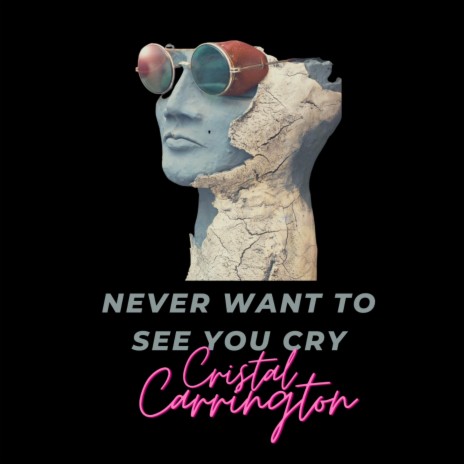 Never Want To See You Cry