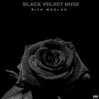 Black Velvet Rose