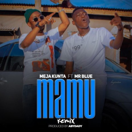 Mamu Remix (Remix) ft. Mr Blue | Boomplay Music