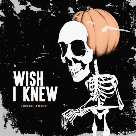 Wish I Knew | Boomplay Music