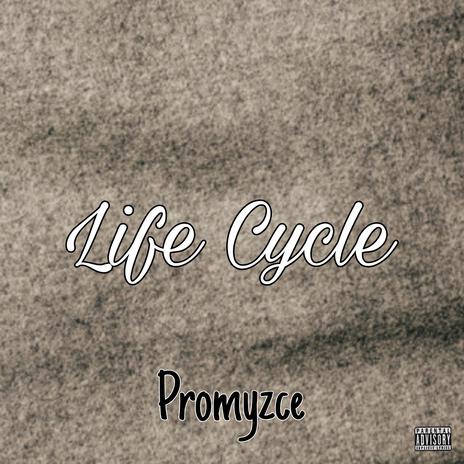 Life Cycle | Boomplay Music