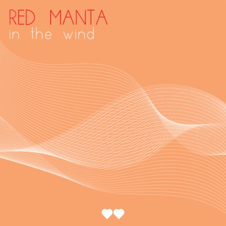 In The Wind | Boomplay Music