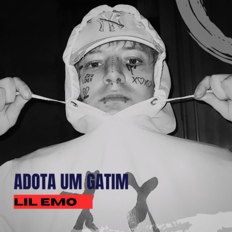 Adota um Gatim ft. rbbeats | Boomplay Music