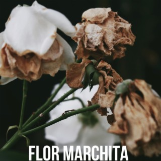 Flor Marchita