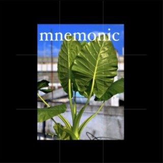 mnemonic