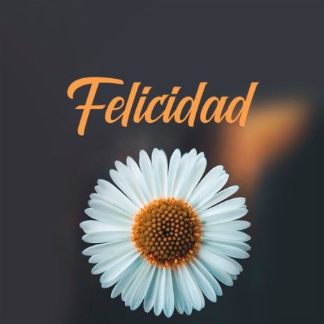 Felicidad ft. Mind & Earth | Boomplay Music