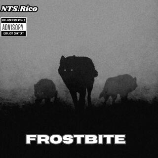 Frostbite (freestyle) NTS Rico