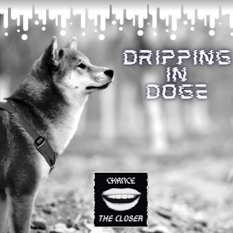 Dripping In Doge | Boomplay Music