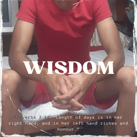 WISDOM | Boomplay Music