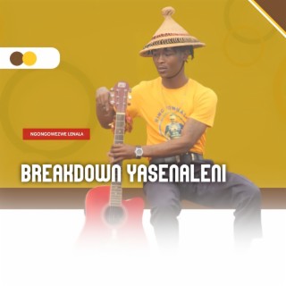 Breakdown Yasenaleni